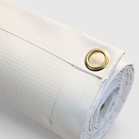 Indoor Vinyl Banner