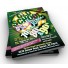 6X8 Flyer